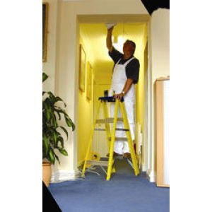 Youngman 6 deals tread step ladder